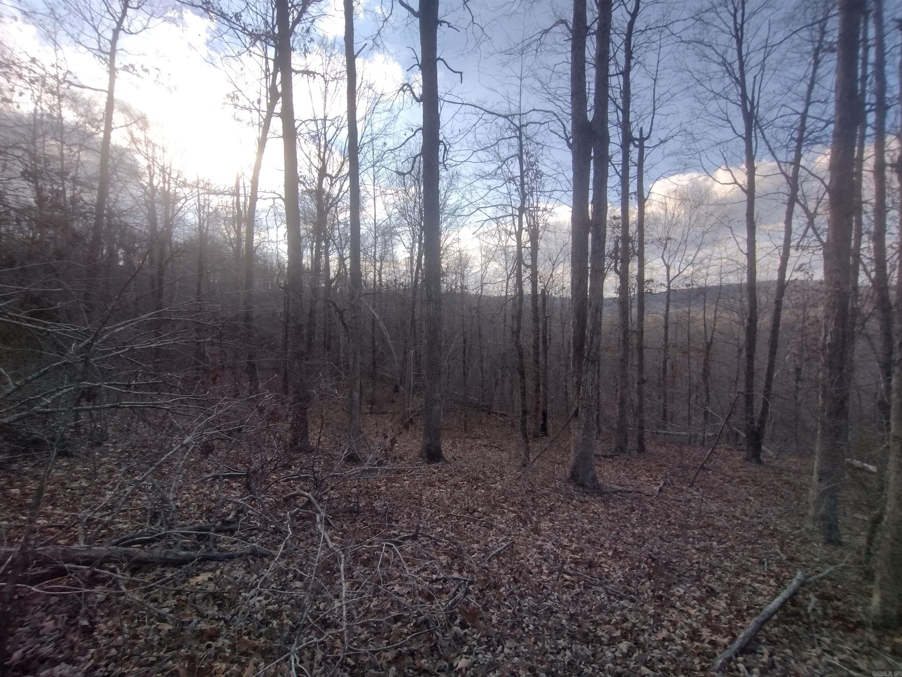 140 Brushy Creek rd  Mountain View, AR