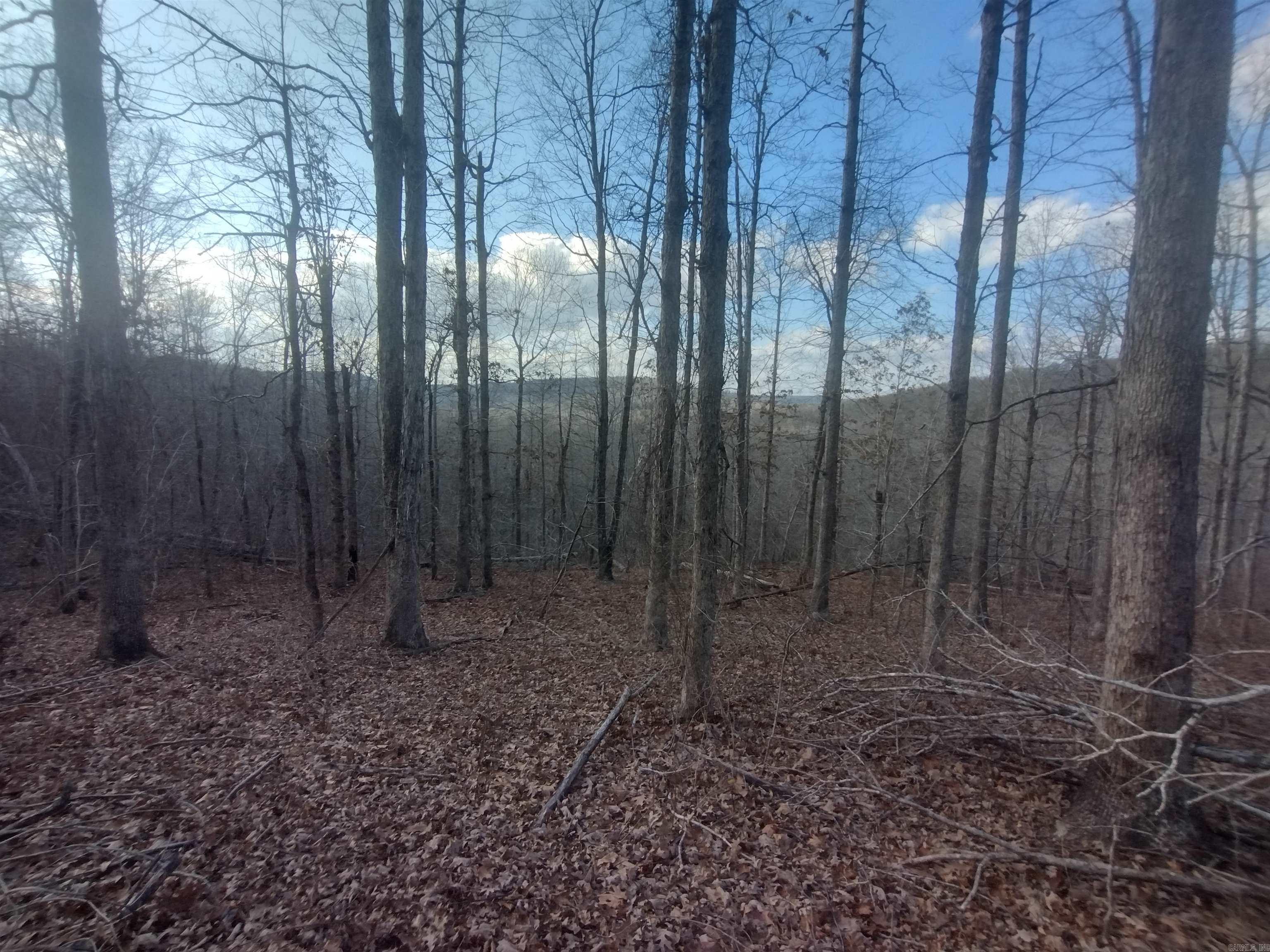 140 Brushy Creek rd  Mountain View, AR