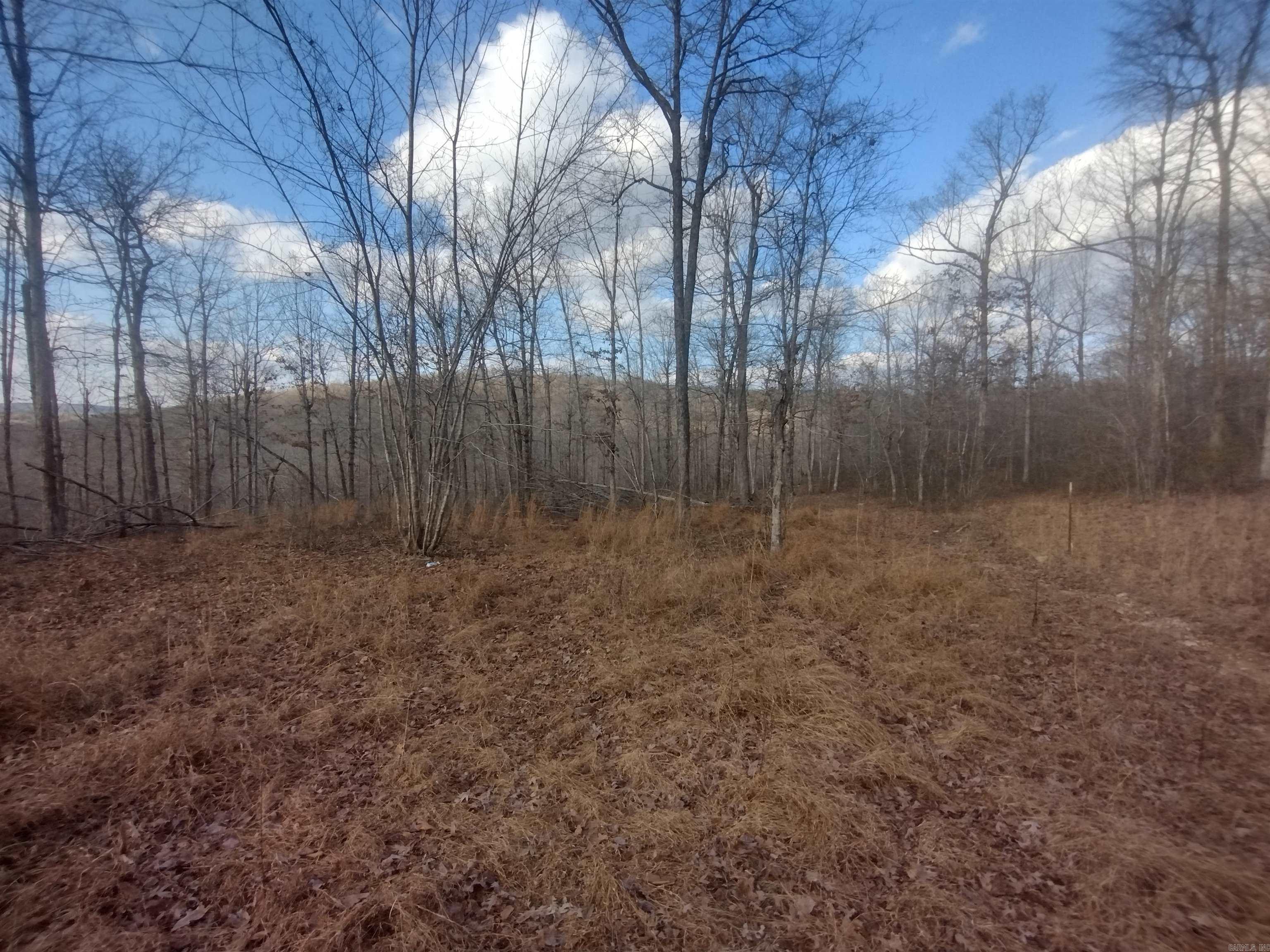 140 Brushy Creek rd  Mountain View, AR