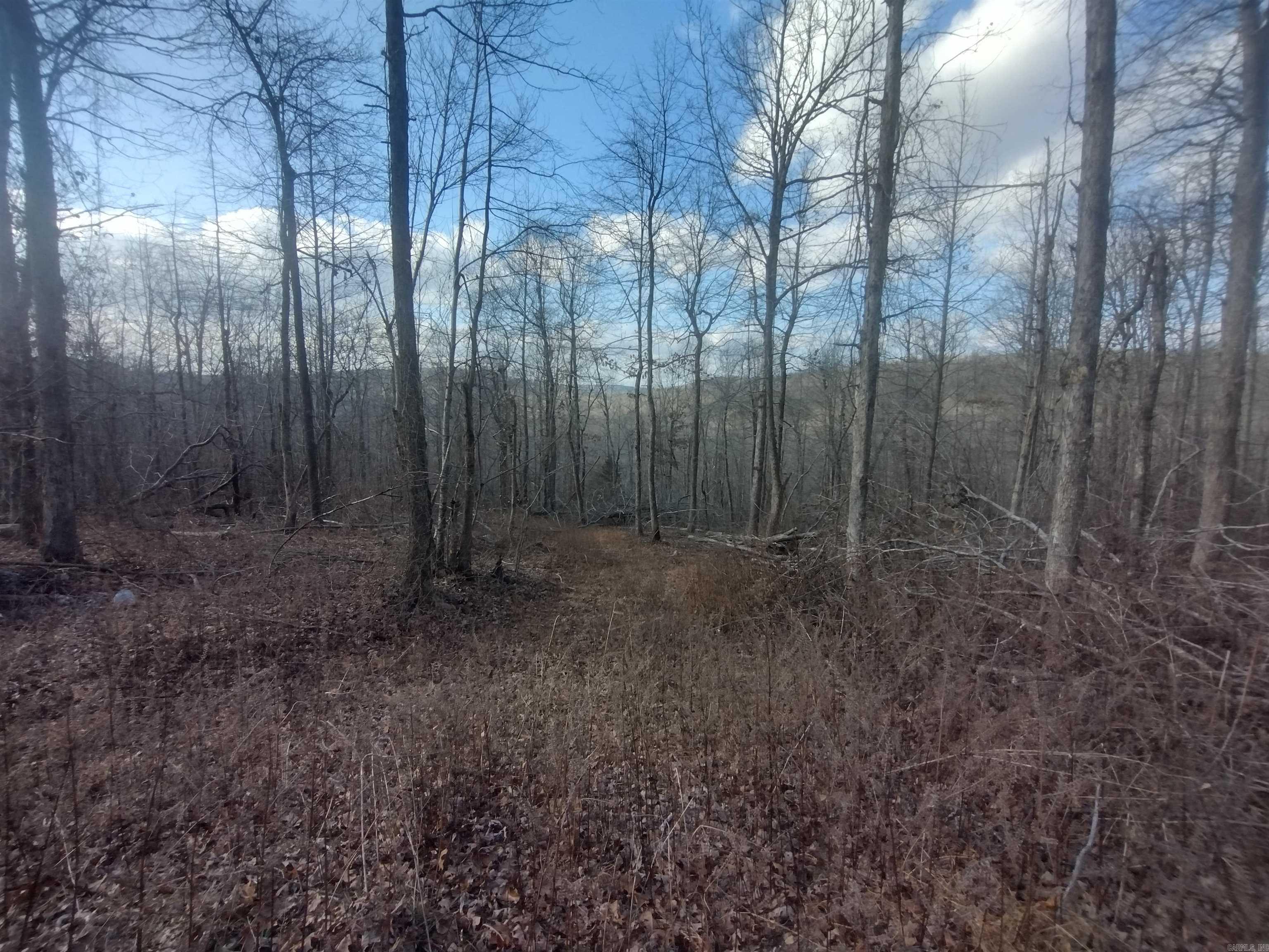 140 Brushy Creek rd  Mountain View, AR