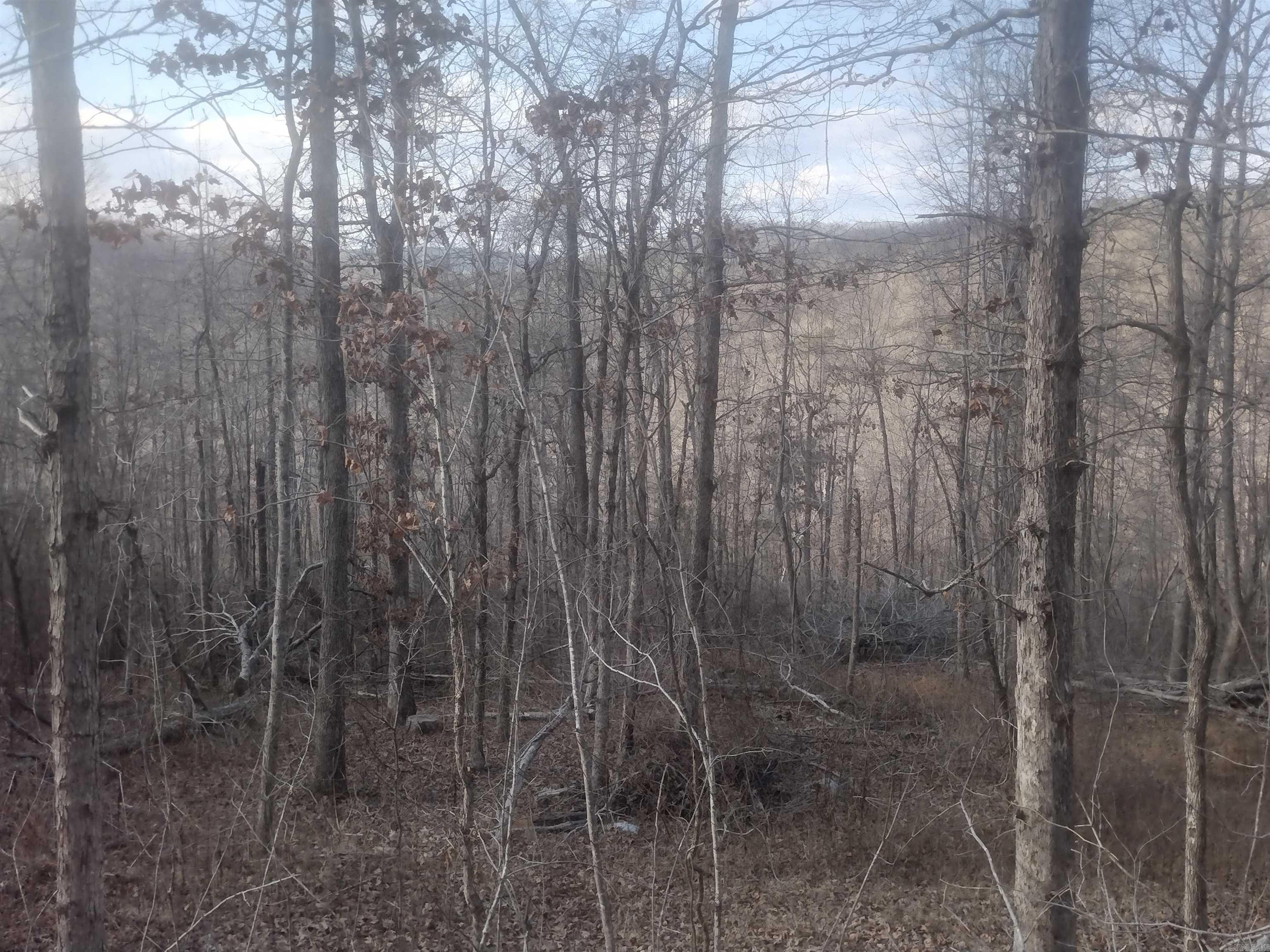 140 Brushy Creek rd  Mountain View, AR