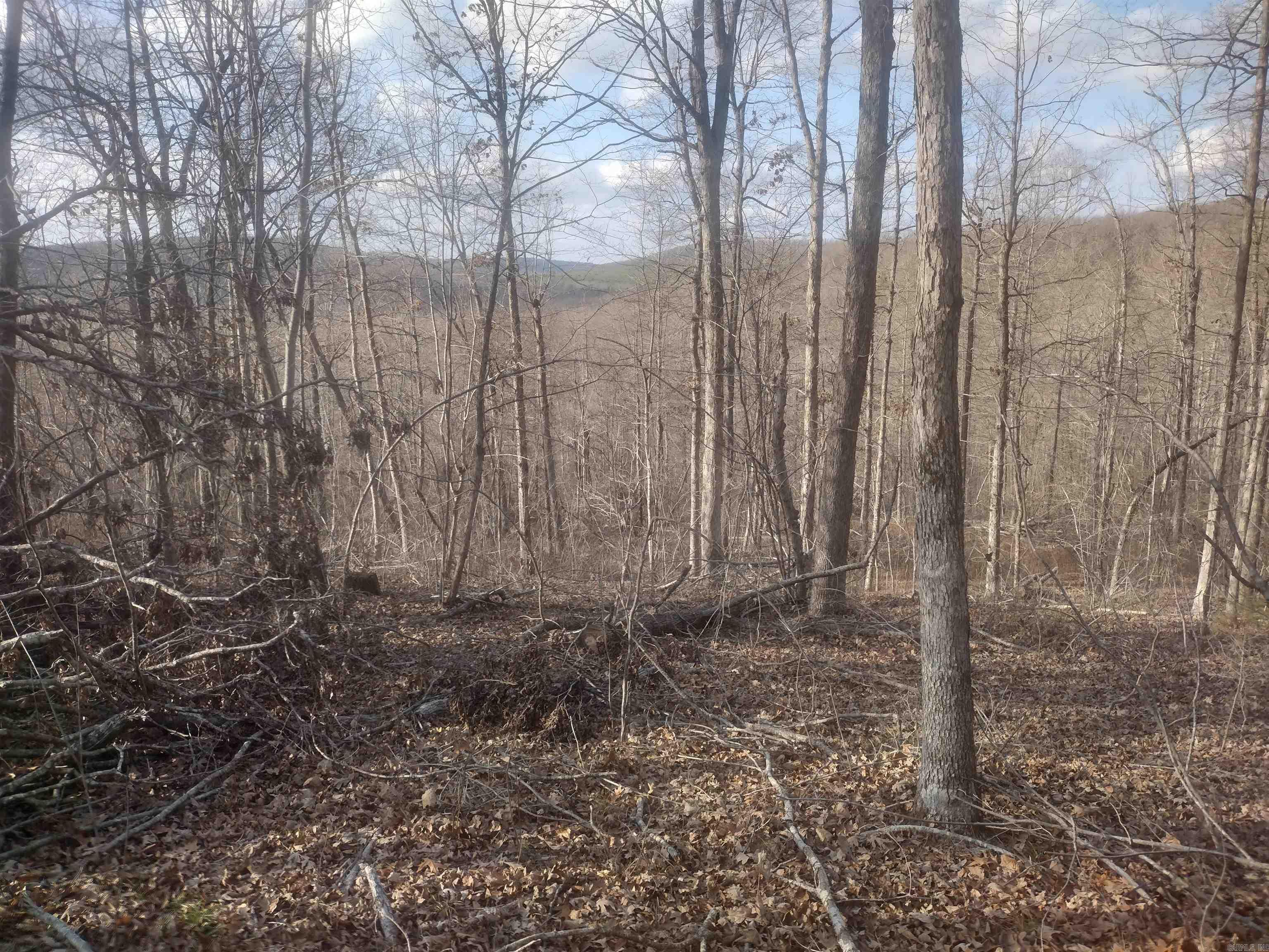 140 Brushy Creek rd  Mountain View, AR