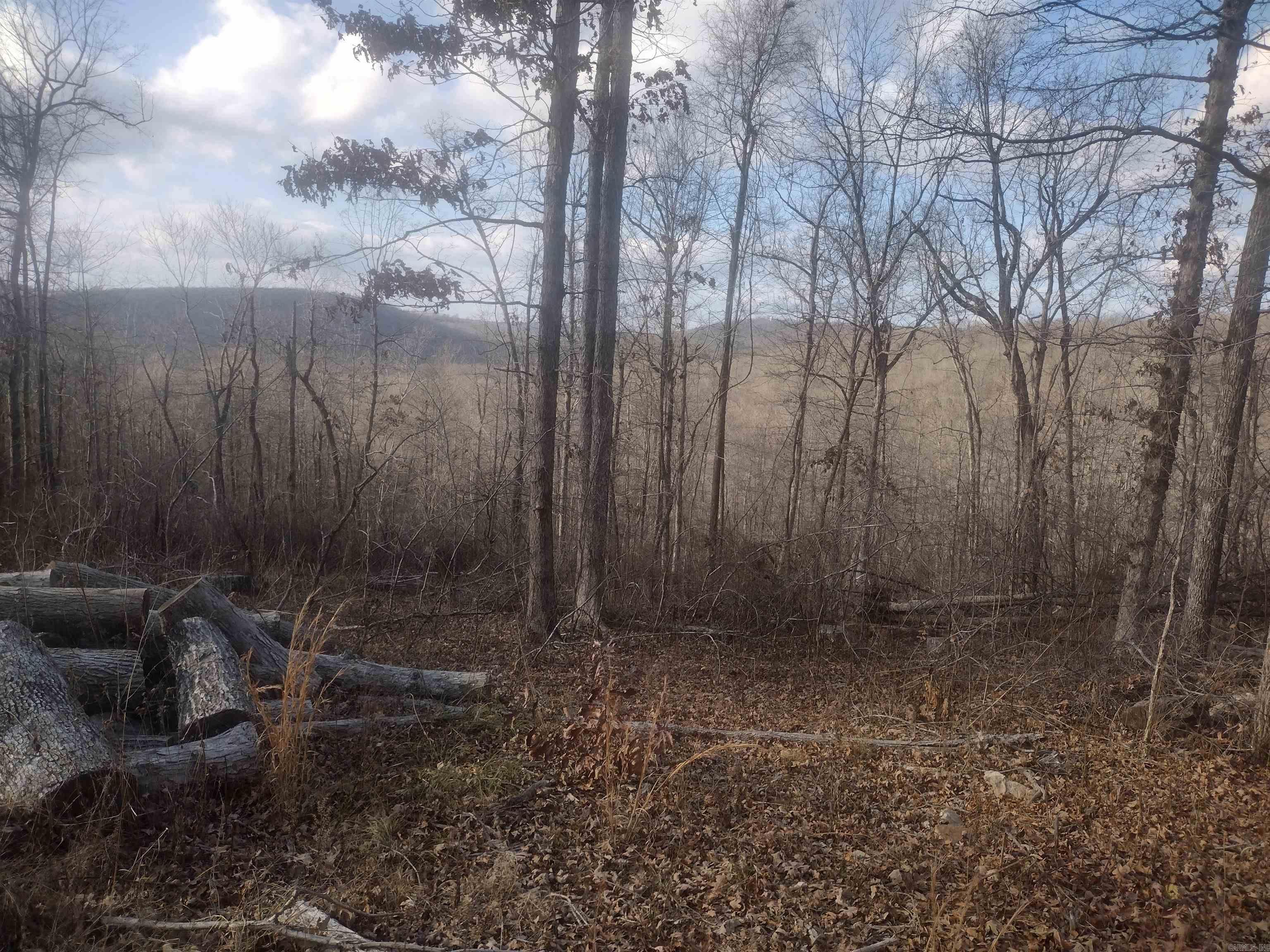 140 Brushy Creek rd  Mountain View, AR