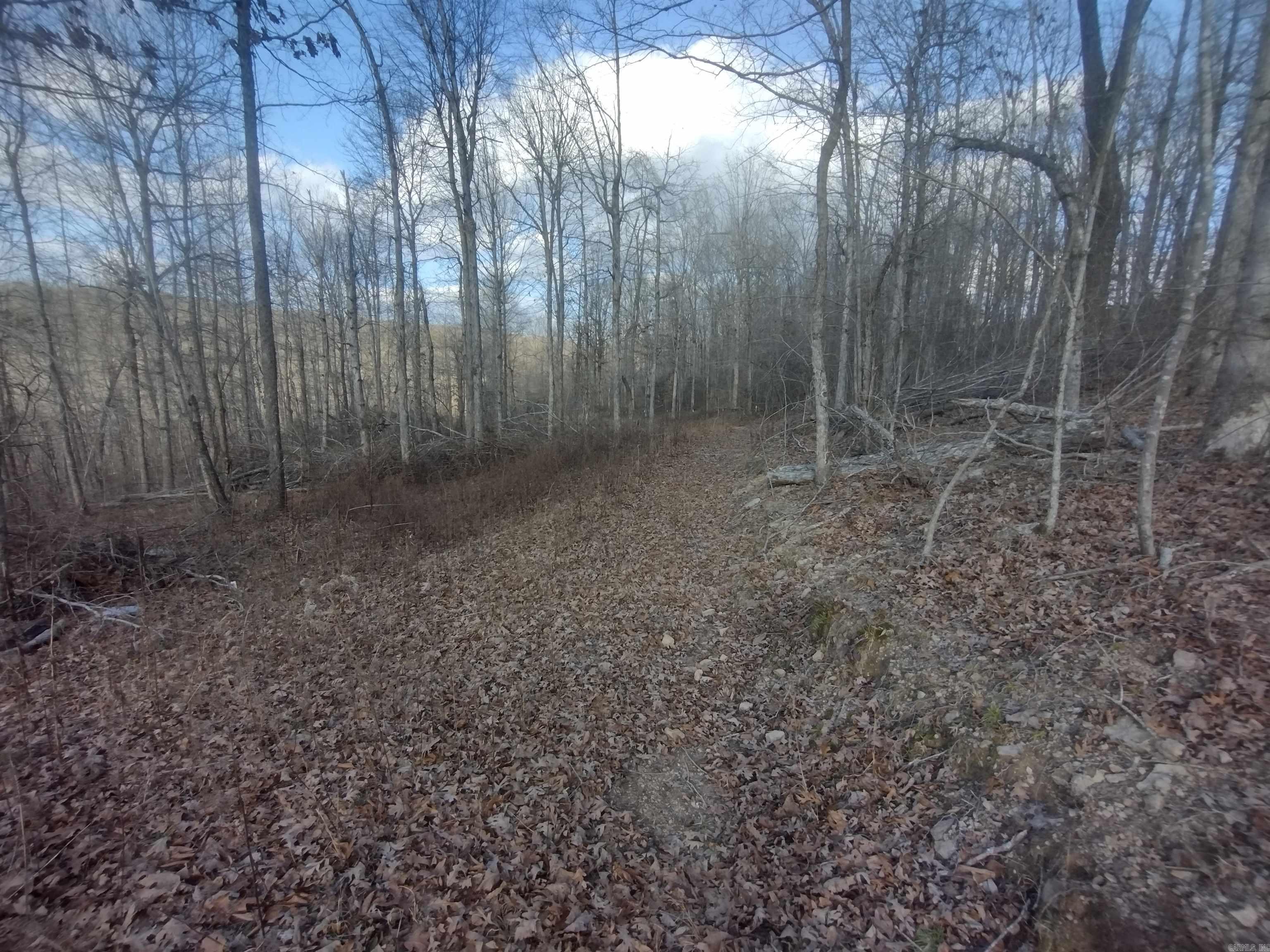 140 Brushy Creek rd  Mountain View, AR