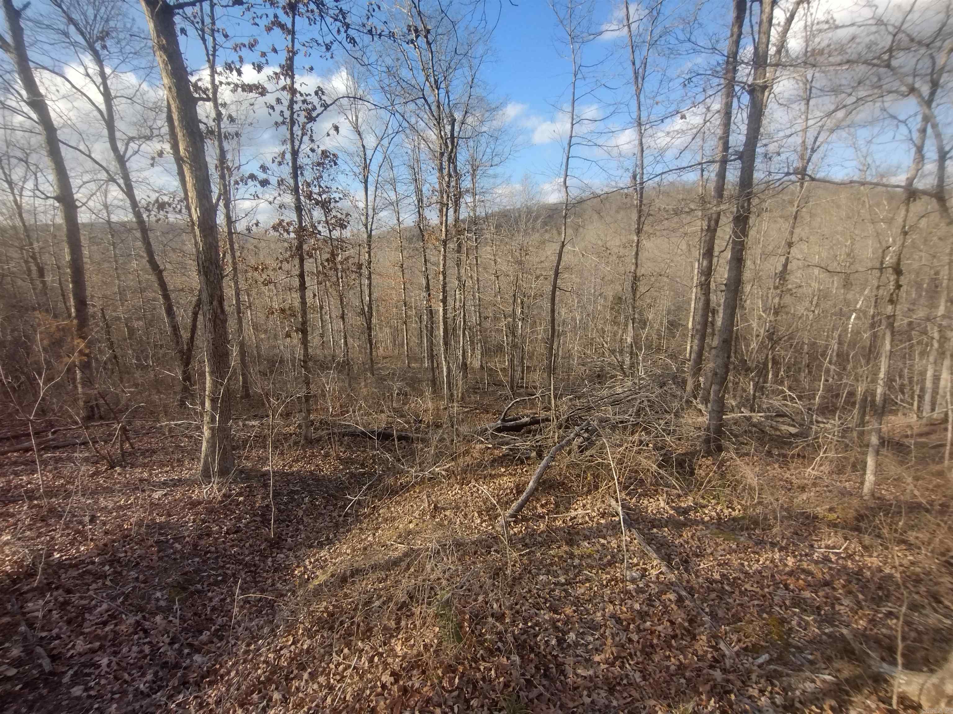 140 Brushy Creek rd  Mountain View, AR