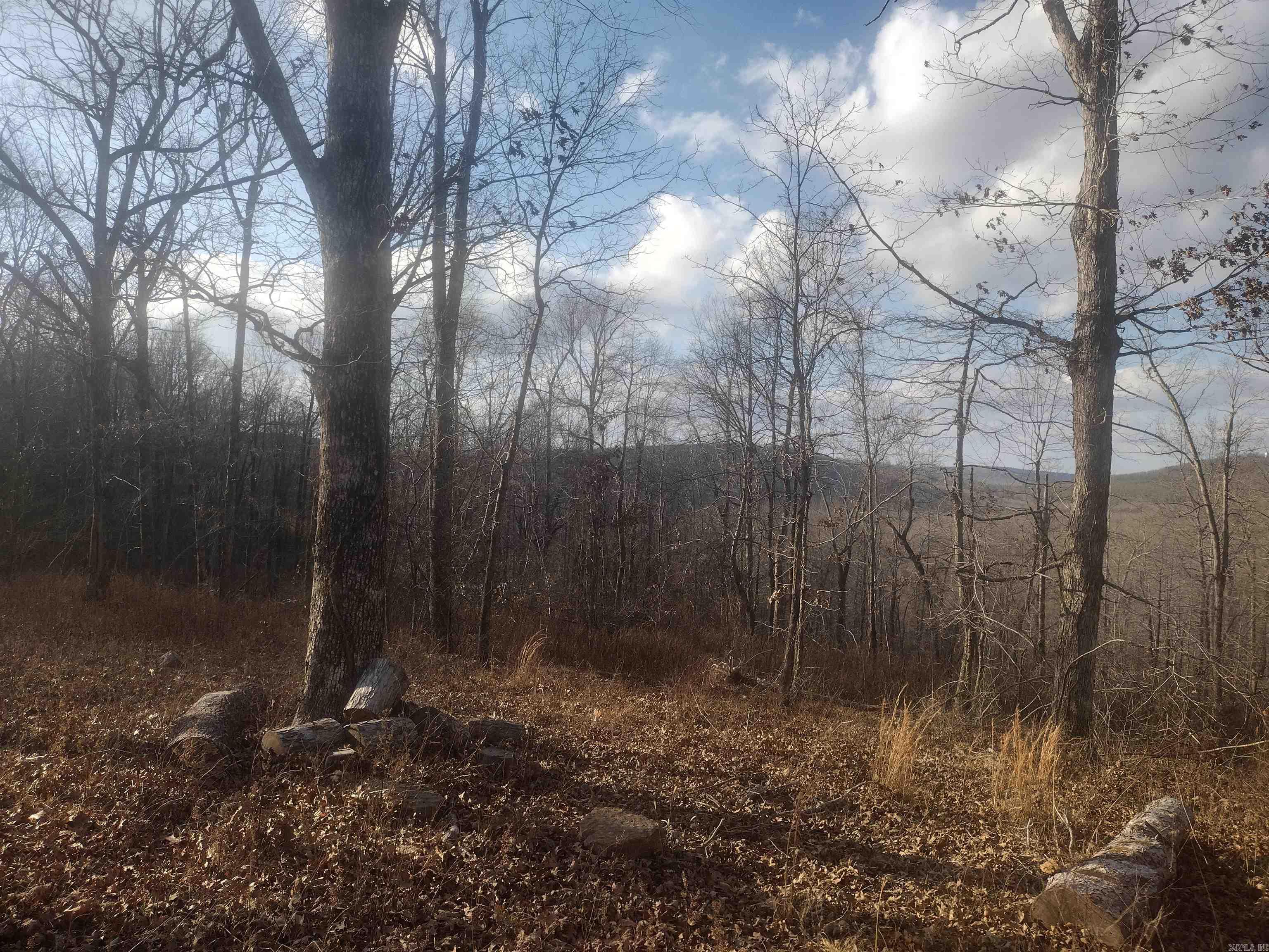 140 Brushy Creek rd  Mountain View, AR