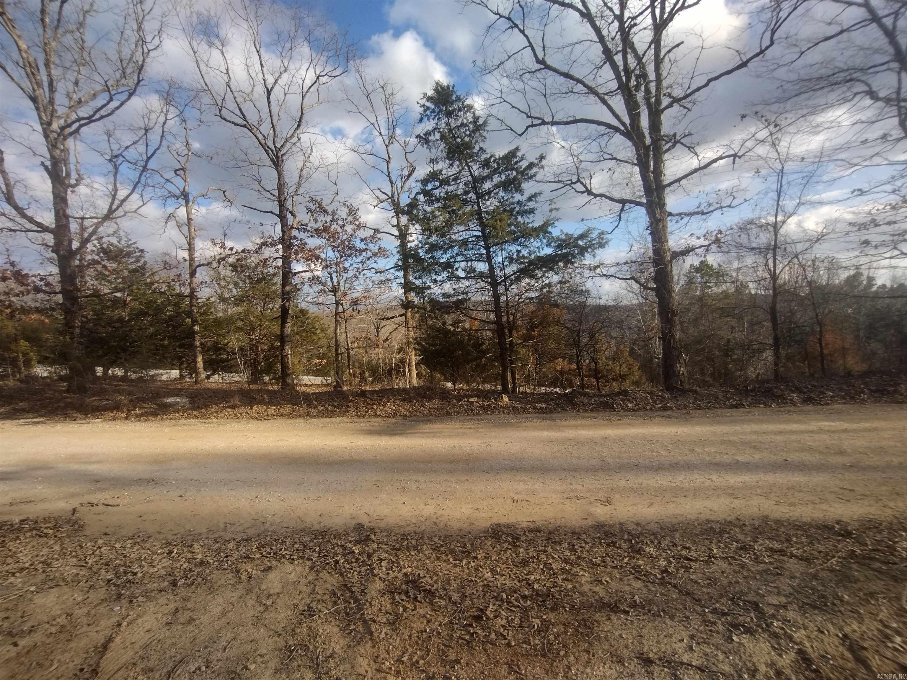 140 Brushy Creek rd  Mountain View, AR