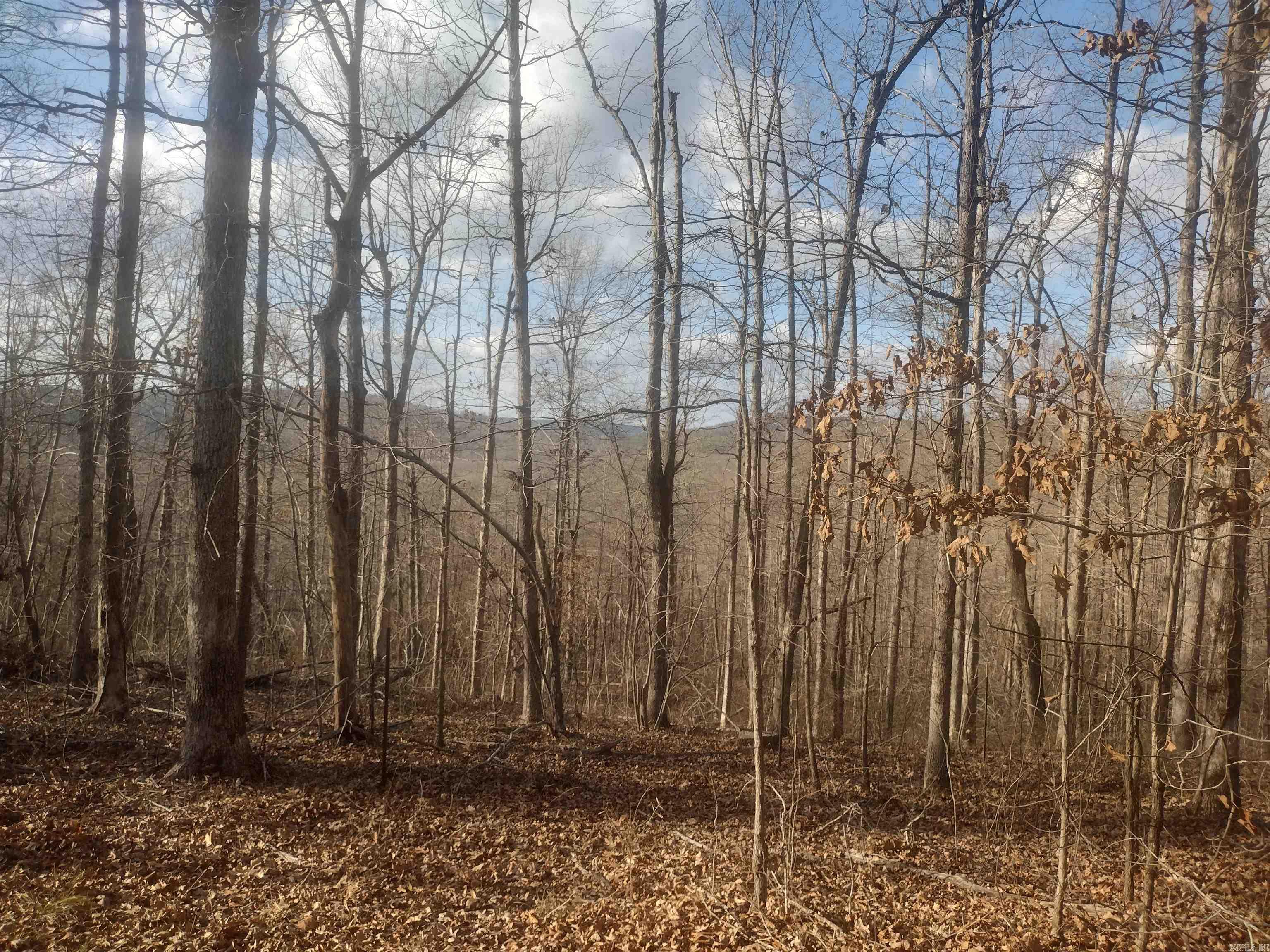 140 Brushy Creek rd  Mountain View, AR