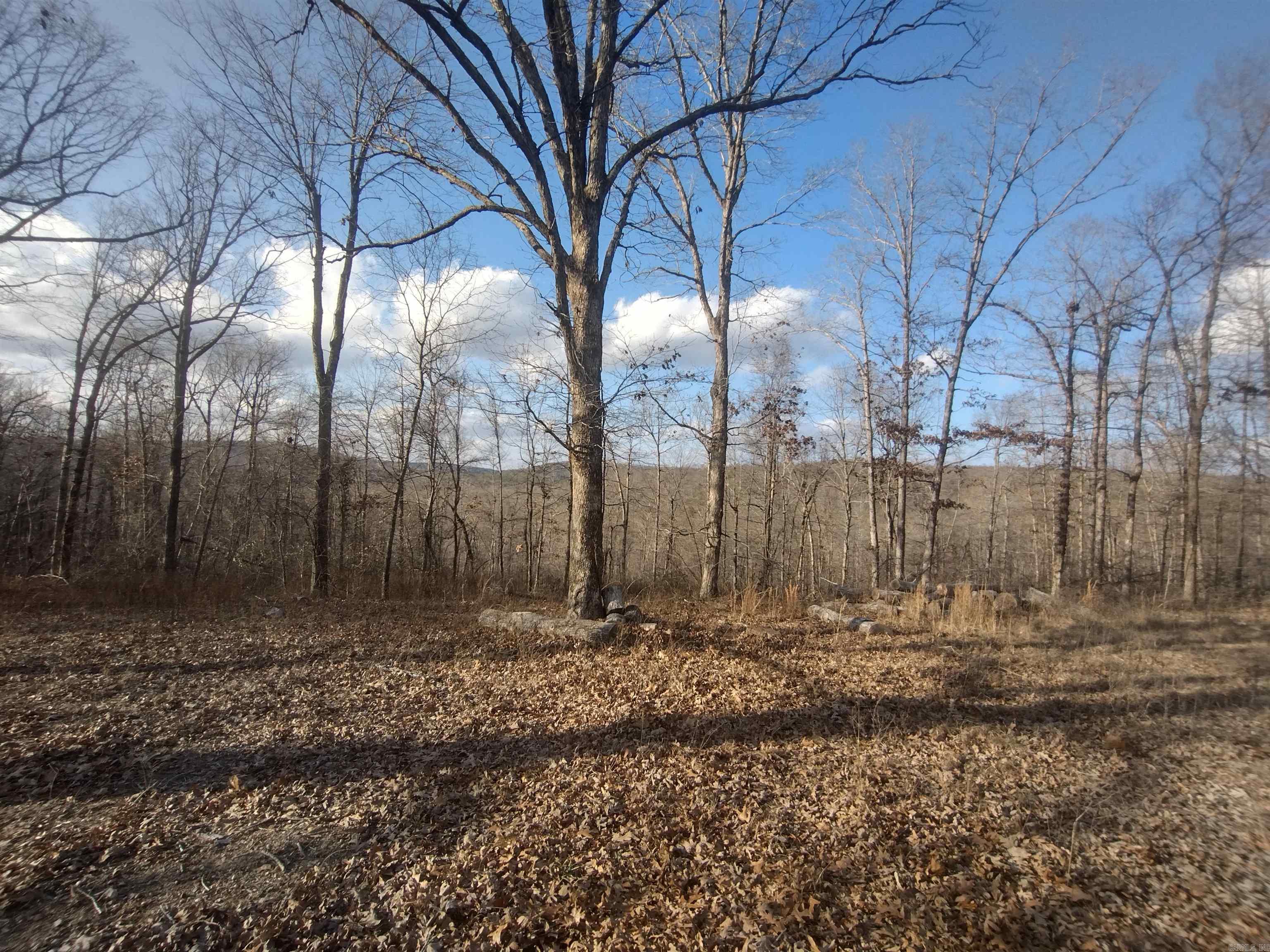 140 Brushy Creek rd  Mountain View, AR