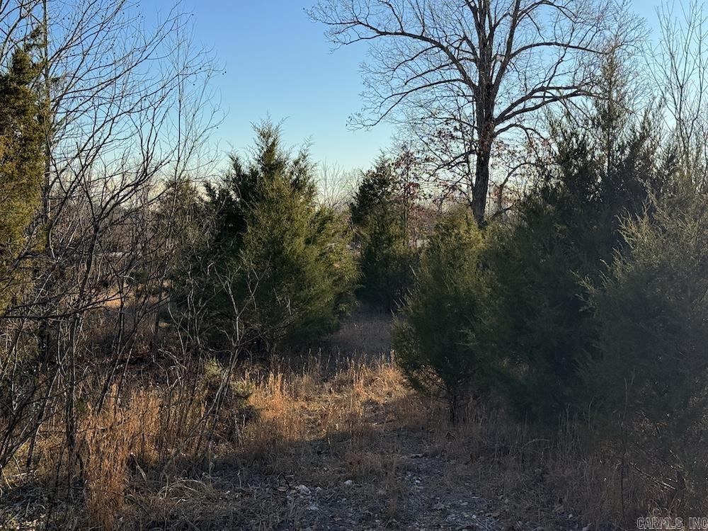  Hwy 62/36  Williford, AR