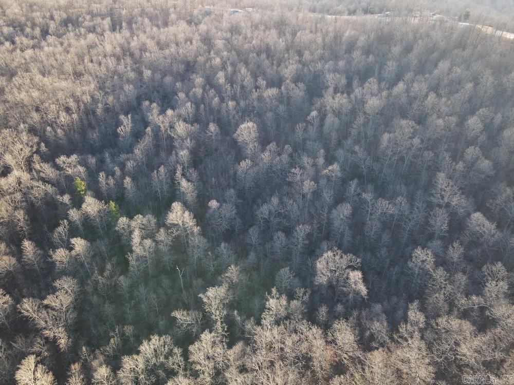  Hwy 62/36  Williford, AR