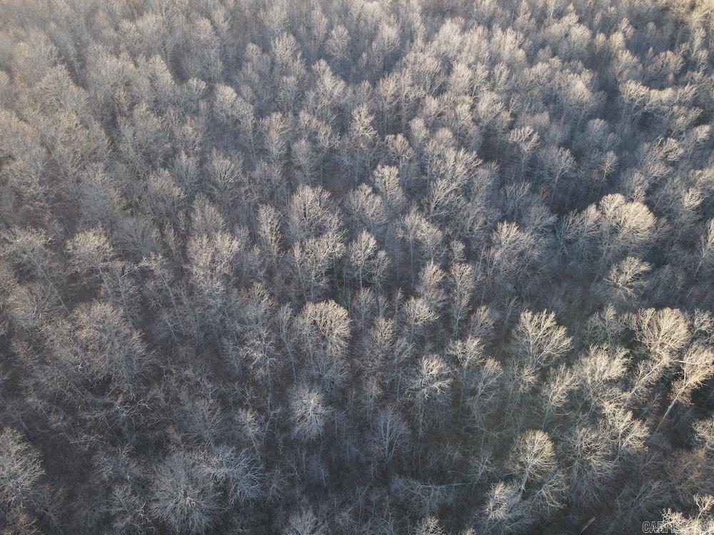  Hwy 62/36  Williford, AR