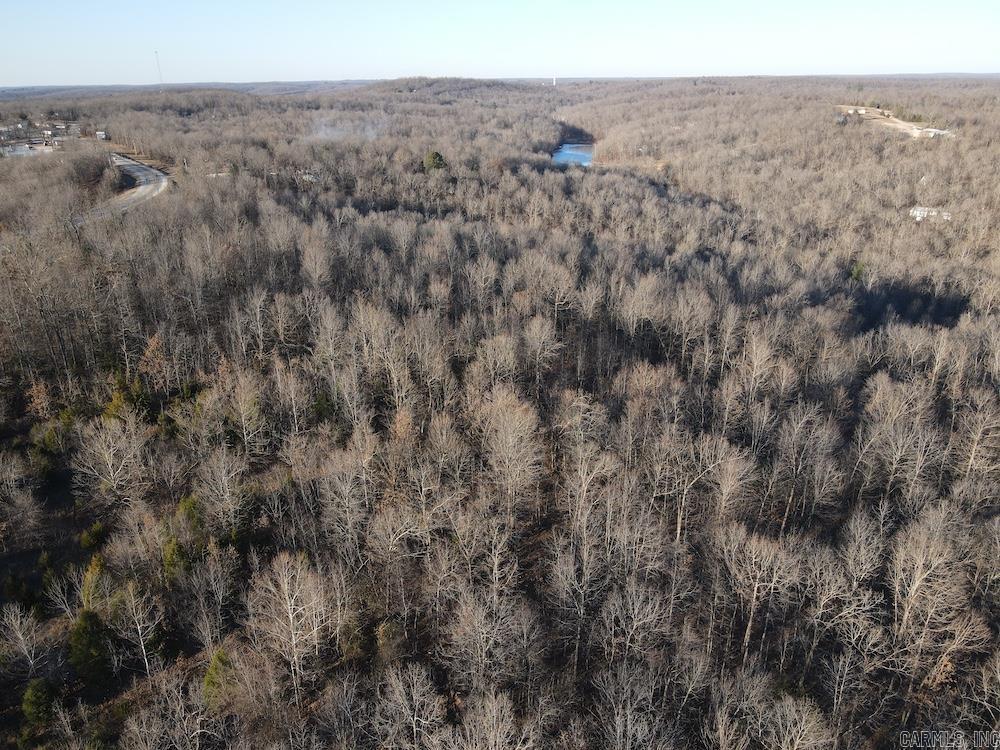  Hwy 62/36  Williford, AR