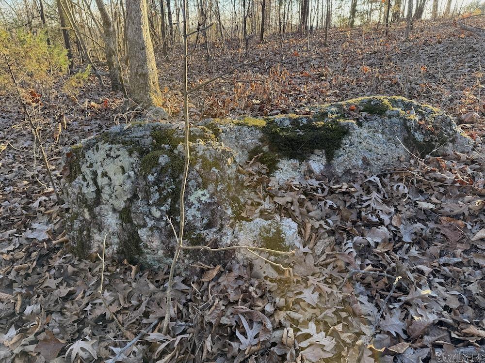  Hwy 62/36  Williford, AR