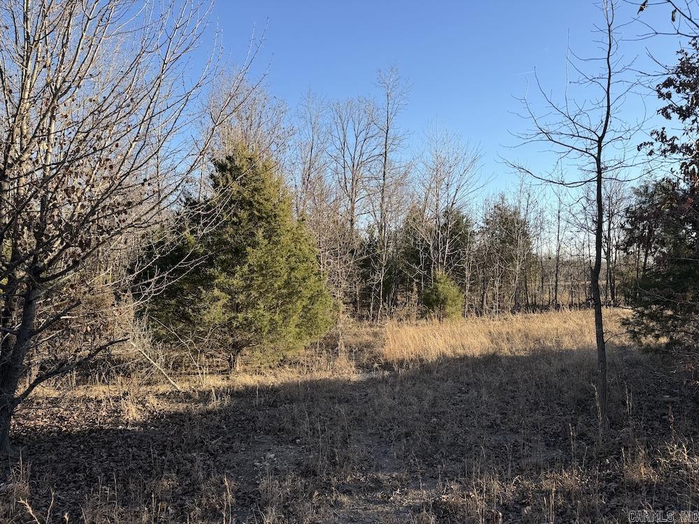  Hwy 62/36  Williford, AR