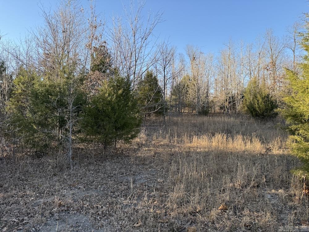  Hwy 62/36  Williford, AR