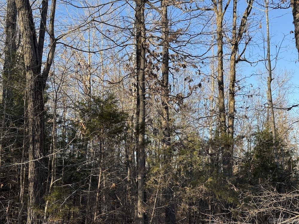  Hwy 62/36  Williford, AR