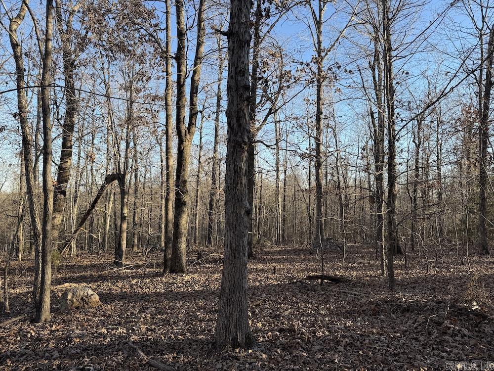  Hwy 62/36  Williford, AR