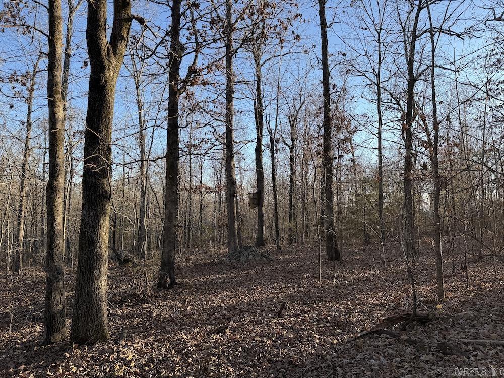  Hwy 62/36  Williford, AR