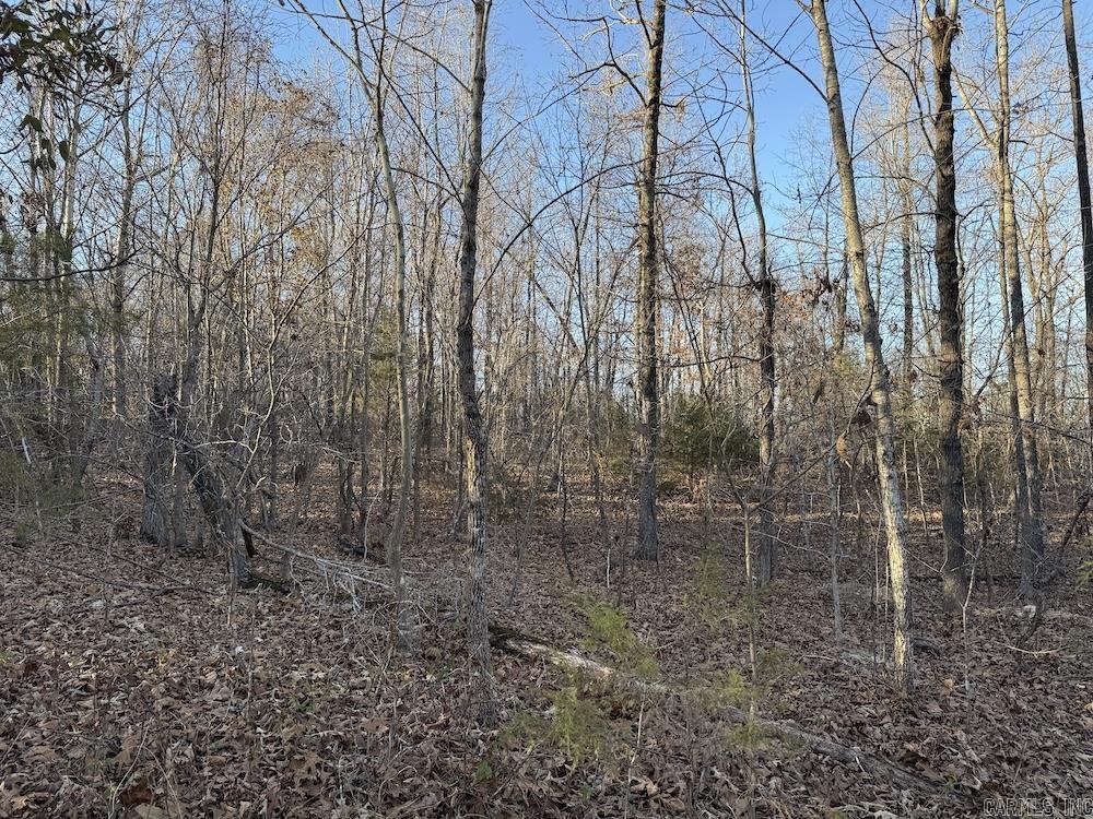  Hwy 62/36  Williford, AR