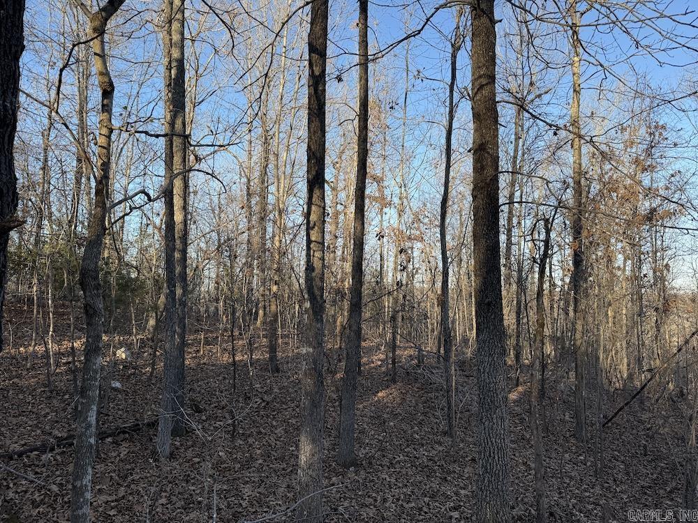  Hwy 62/36  Williford, AR