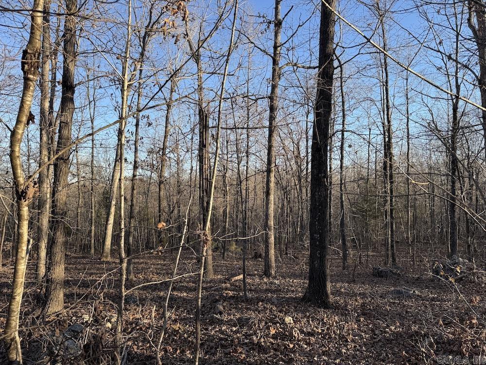  Hwy 62/36  Williford, AR