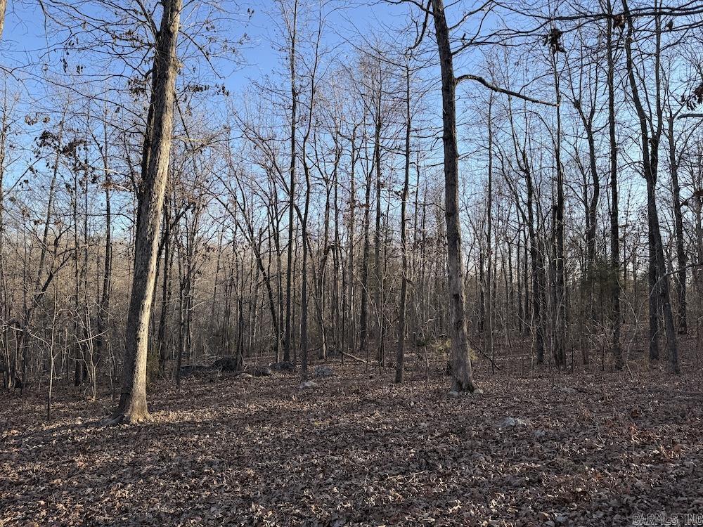  Hwy 62/36  Williford, AR