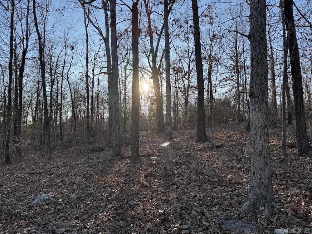  Hwy 62/36  Williford, AR