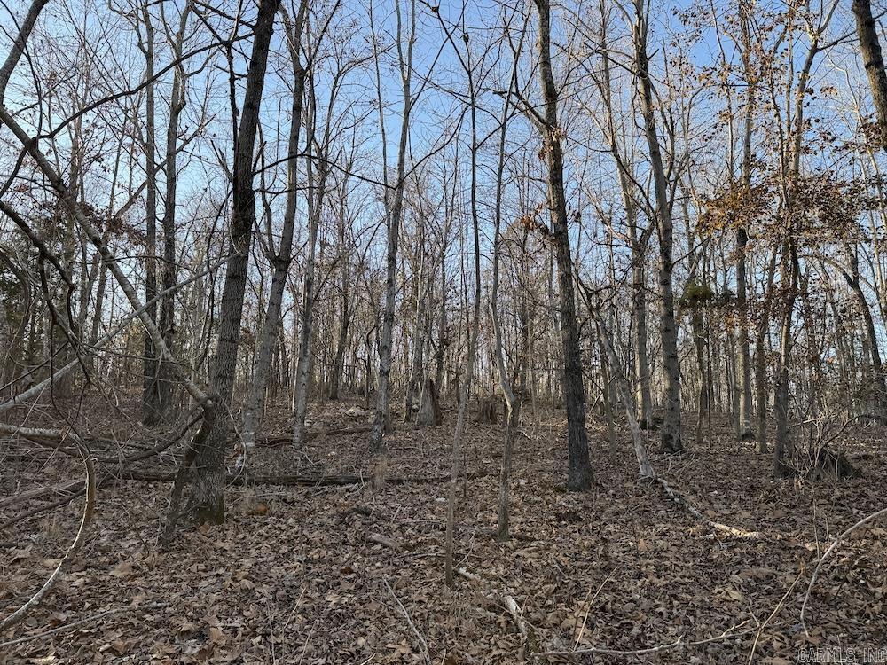  Hwy 62/36  Williford, AR