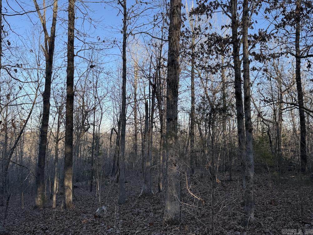  Hwy 62/36  Williford, AR