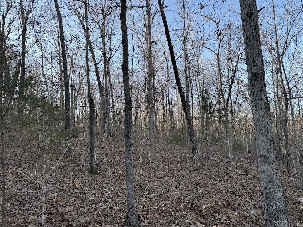  Hwy 62/36  Williford, AR