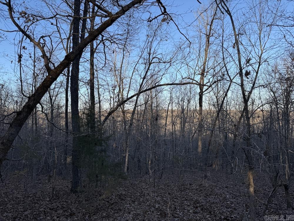  Hwy 62/36  Williford, AR