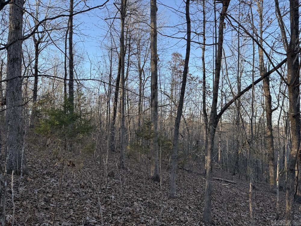  Hwy 62/36  Williford, AR