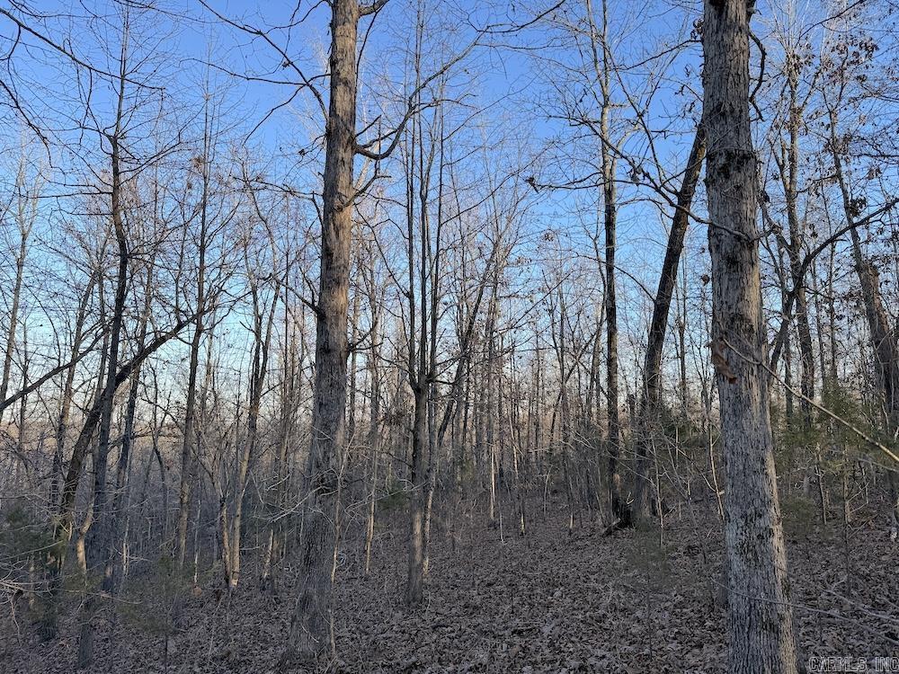  Hwy 62/36  Williford, AR