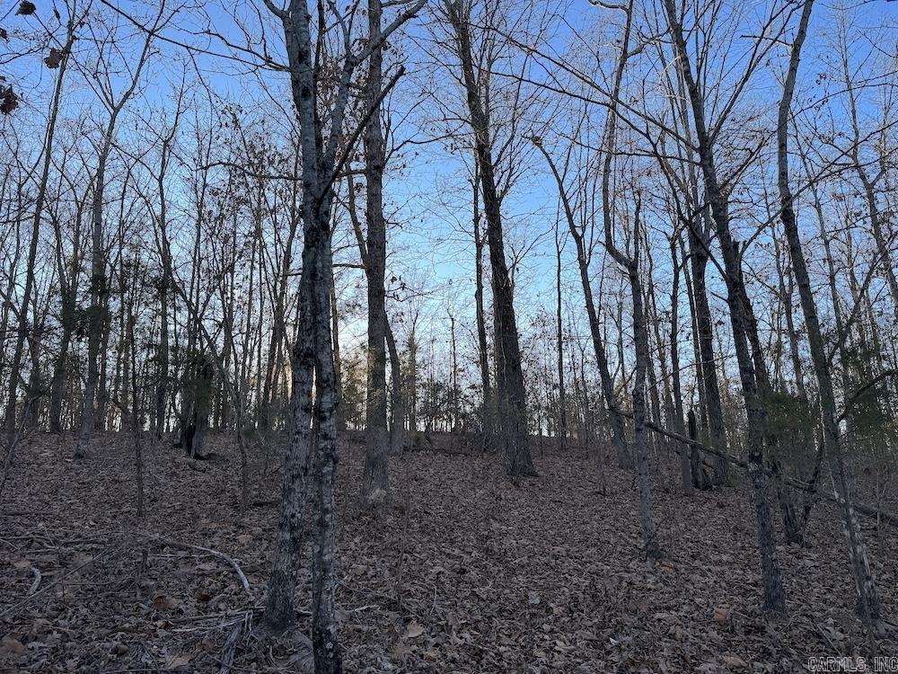  Hwy 62/36  Williford, AR