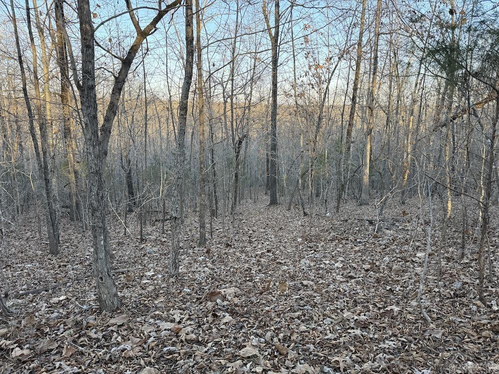  Hwy 62/36  Williford, AR