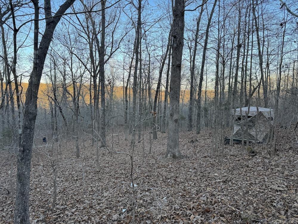  Hwy 62/36  Williford, AR