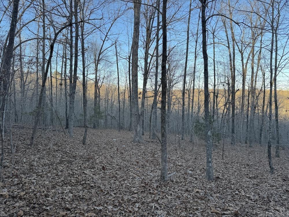  Hwy 62/36  Williford, AR