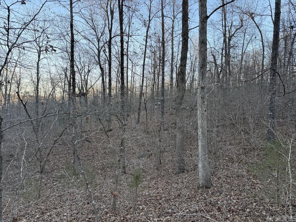  Hwy 62/36  Williford, AR