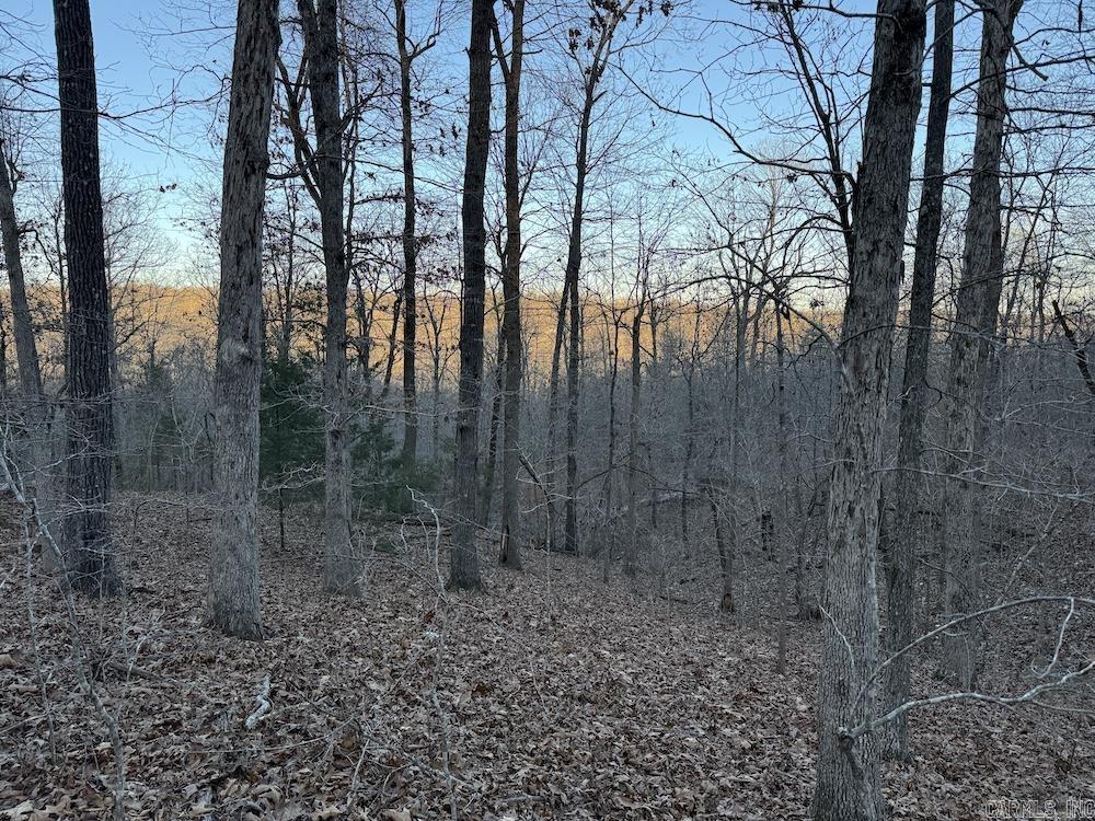  Hwy 62/36  Williford, AR