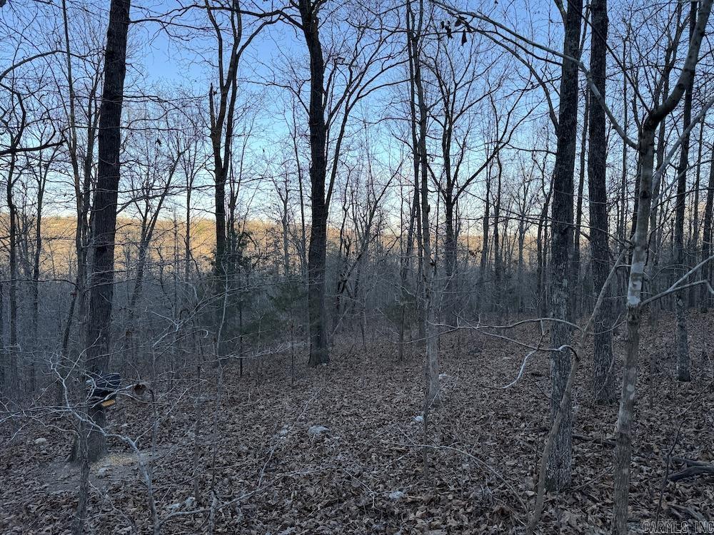  Hwy 62/36  Williford, AR