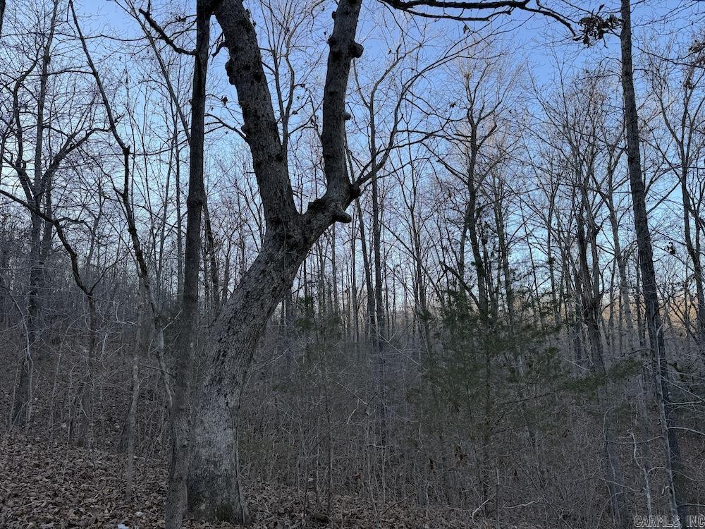  Hwy 62/36  Williford, AR