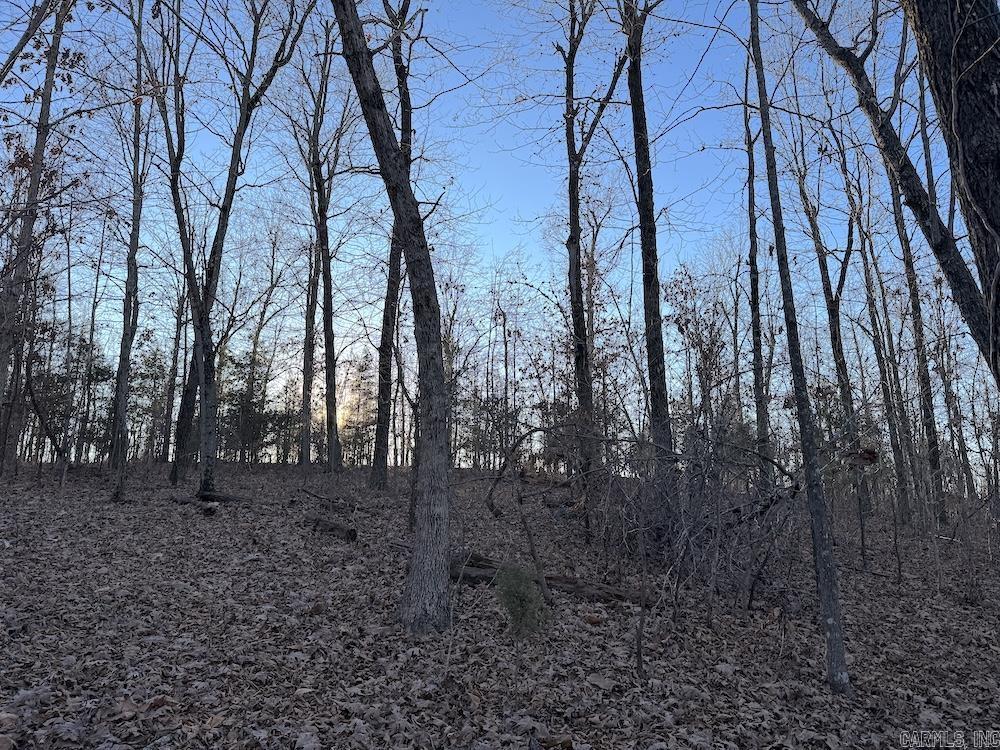  Hwy 62/36  Williford, AR