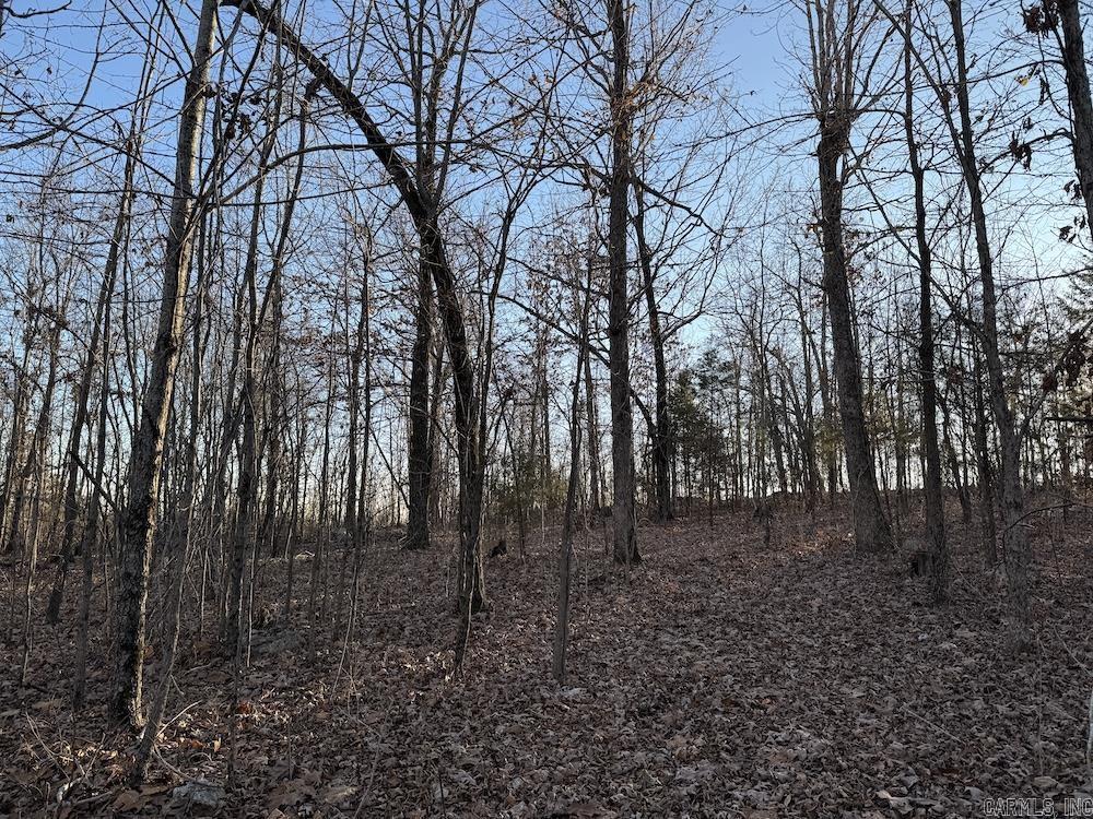  Hwy 62/36  Williford, AR