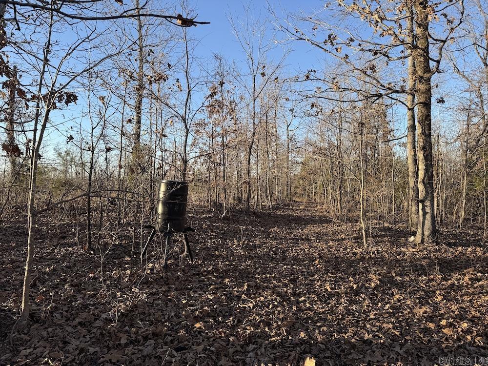  Hwy 62/36  Williford, AR