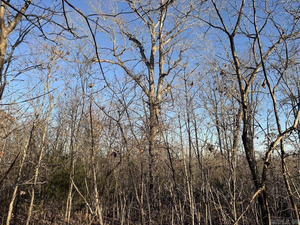  Hwy 62/36  Williford, AR