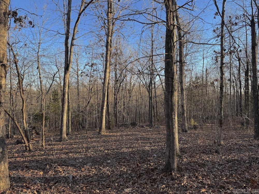  Hwy 62/36  Williford, AR