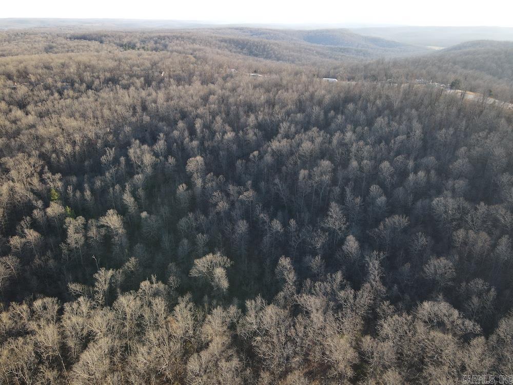  Hwy 62/36  Williford, AR