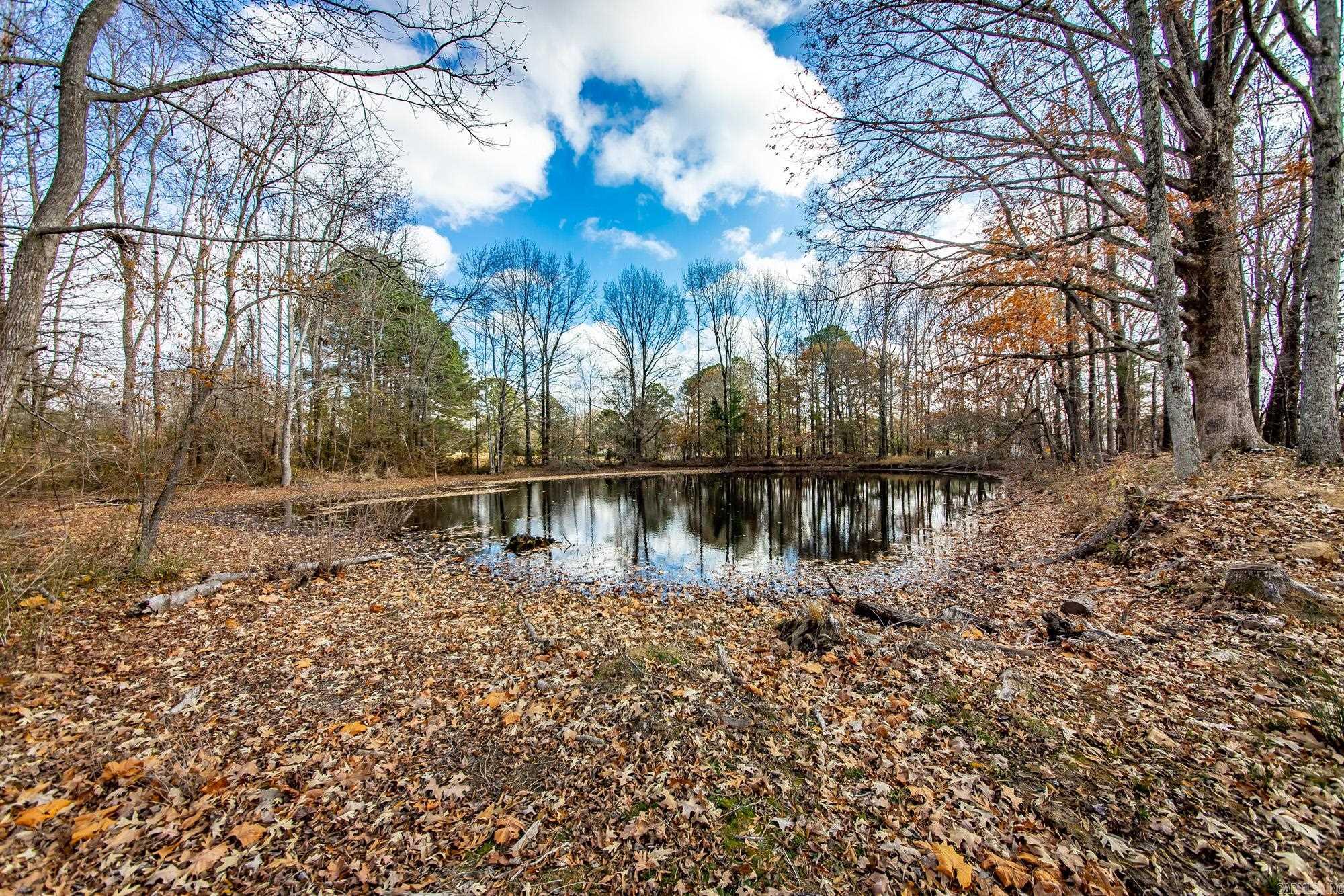 3215 Kerr Station  Cabot, AR