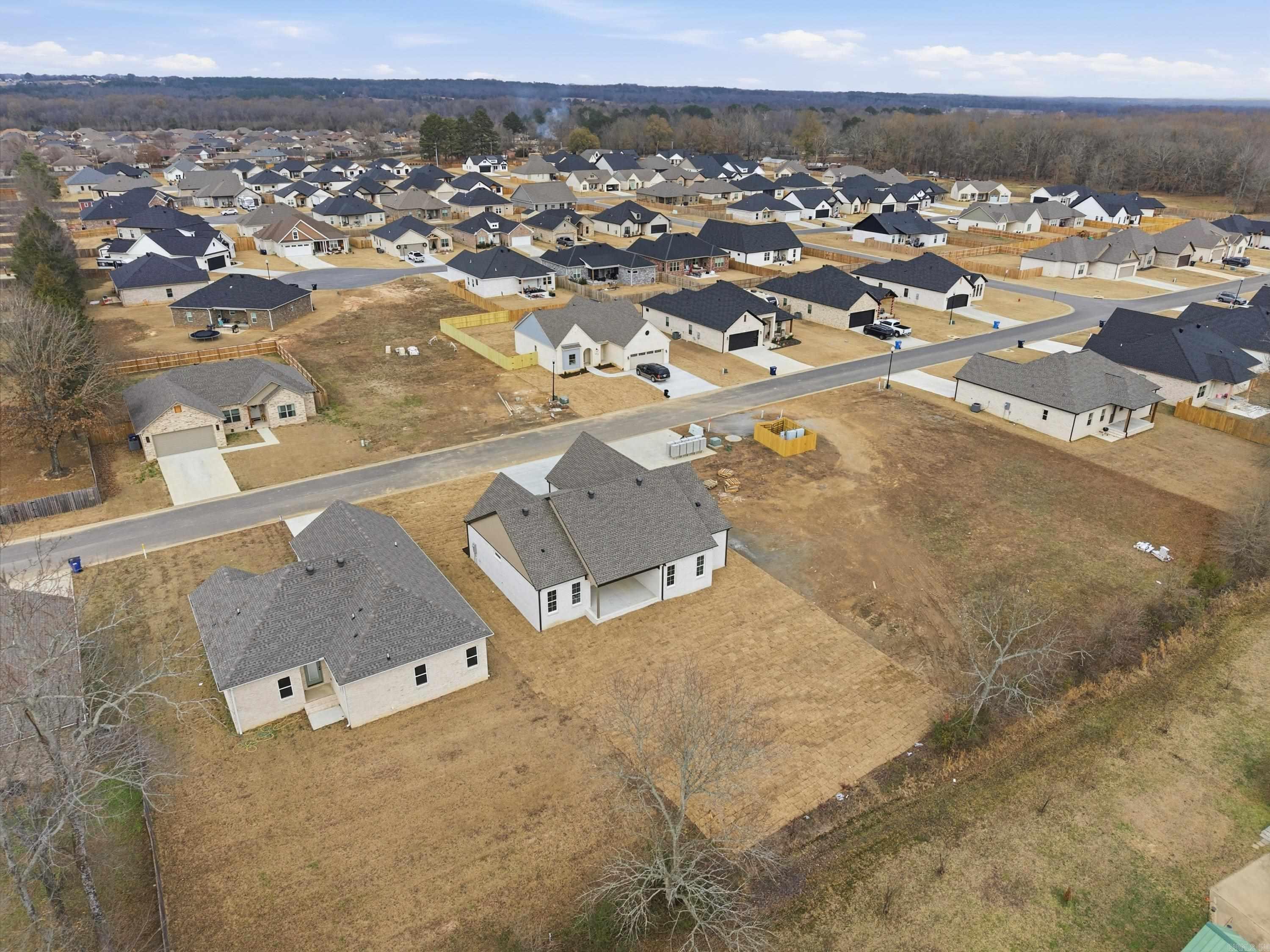 10 Dandelion  Greenbrier, AR